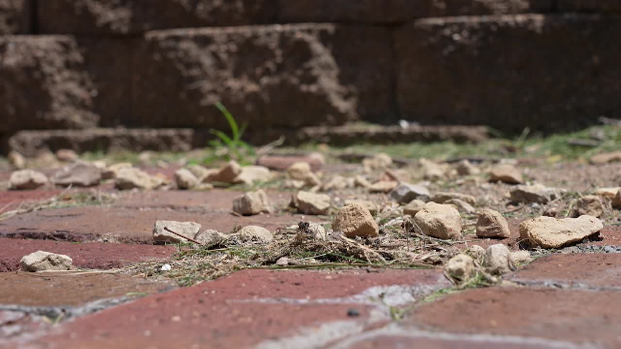 Thumbnail image for INSIGHT 7