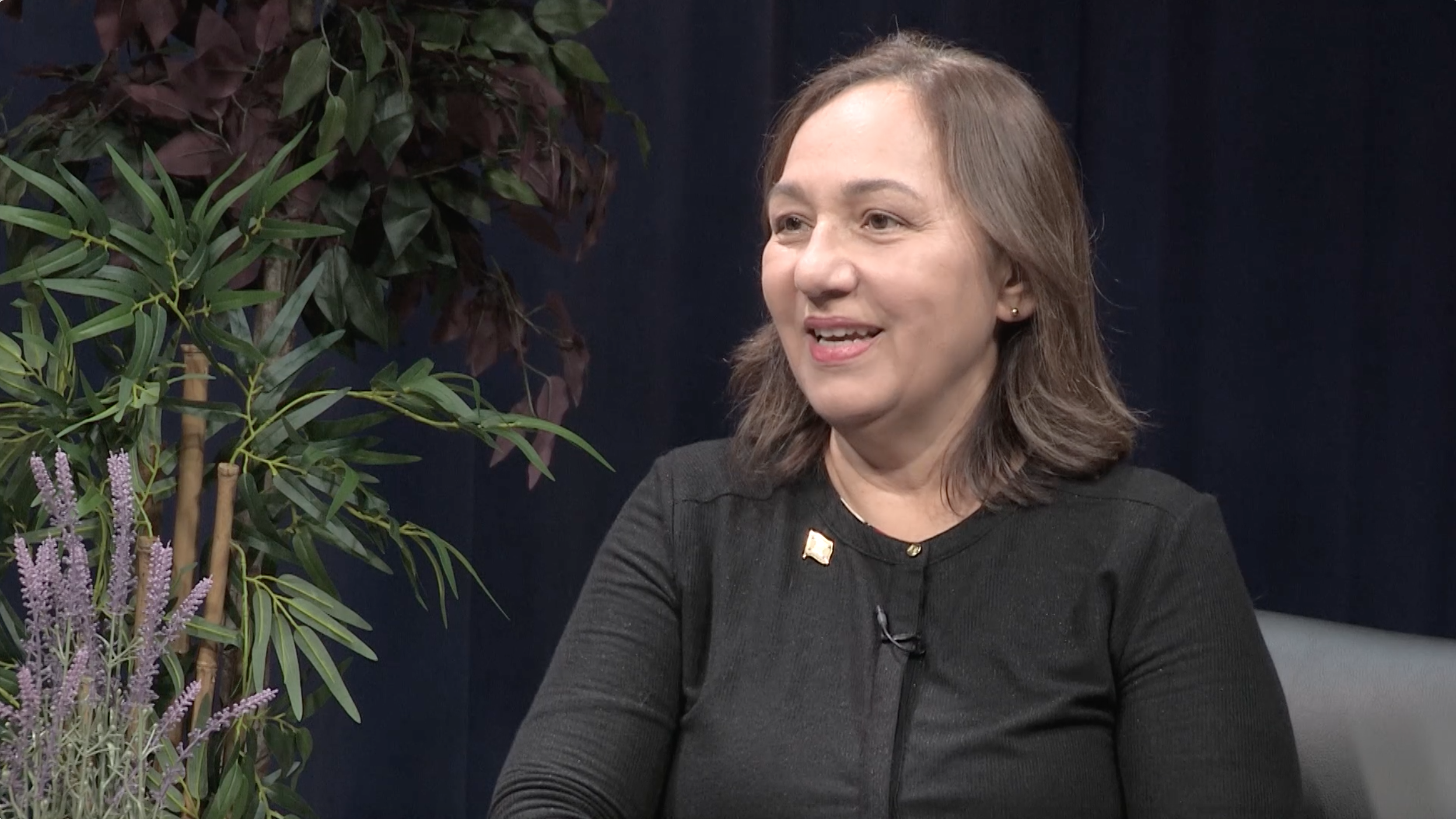 Thumbnail image for Republican Roundtable -  Why Did We Change the State Flag?